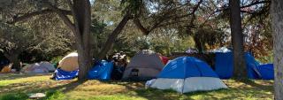 Several tents in a park
