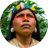 Image of Nemonte Nenquimo