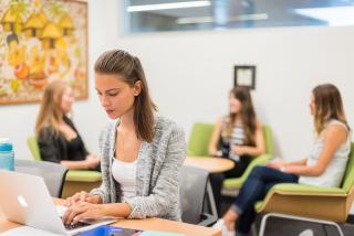 CFLS About the Centre header