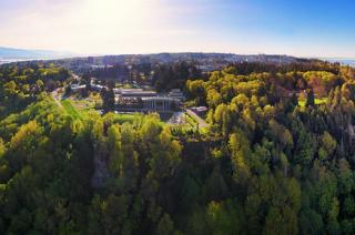 UBC Aerial