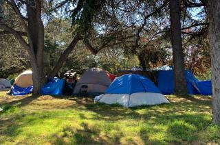 Several tents in a park