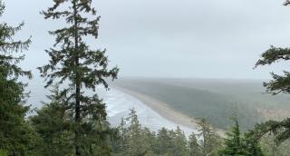 Cropped photo of Haida Gwaii