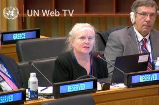 Dr. Janis Sarra at UNCITRAL's 62nd session