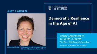 2024 09 13 - Democratic Resilience in the Age of AI